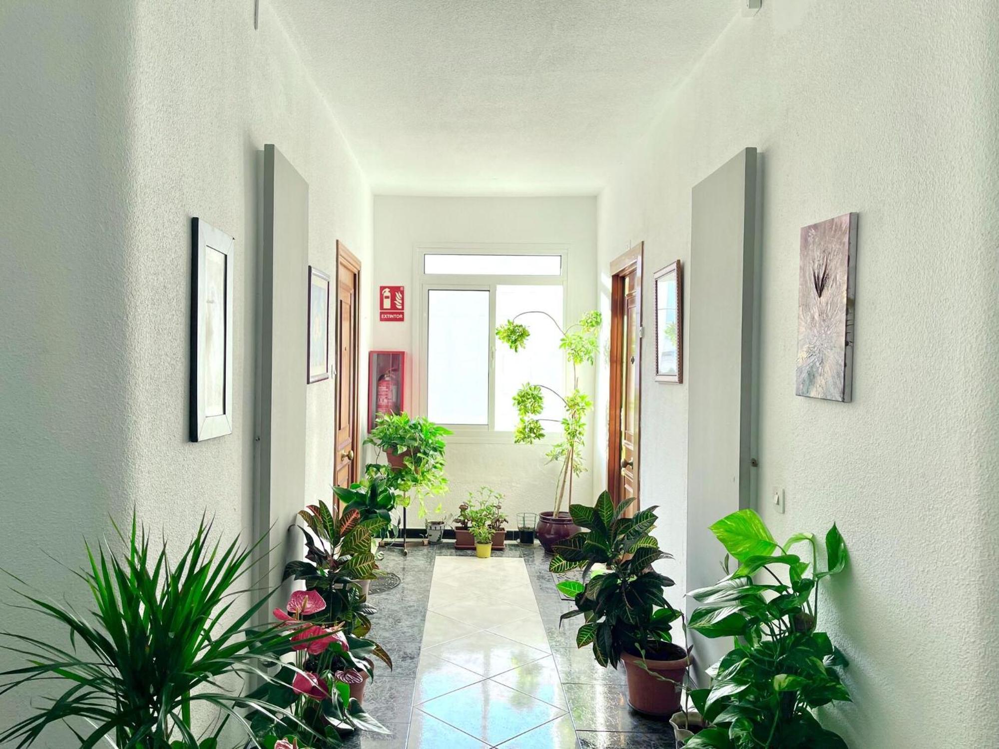 Apartment In Near Seabeach *