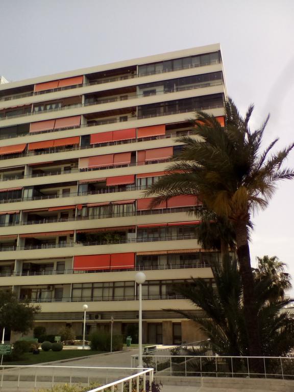 Apartment La Nogalera *