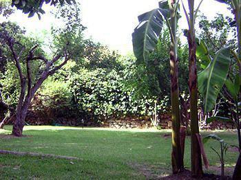 Guest house Boutique Geranios Del Pinar *