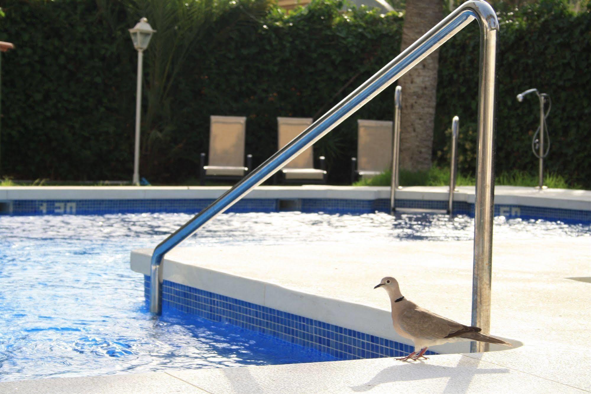 Arcos De Montemar Hotel Torremolinos