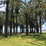 Carihuela Beach Apartment - Plaza Del Remo
