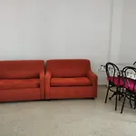 Nuevo Capela 7