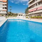 Vivendos - Tr16 - Nogalera