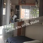 Saltillo Alto White Studio
