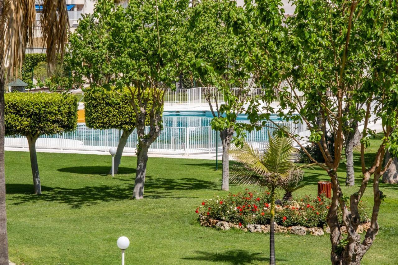 Apartment Garden & -