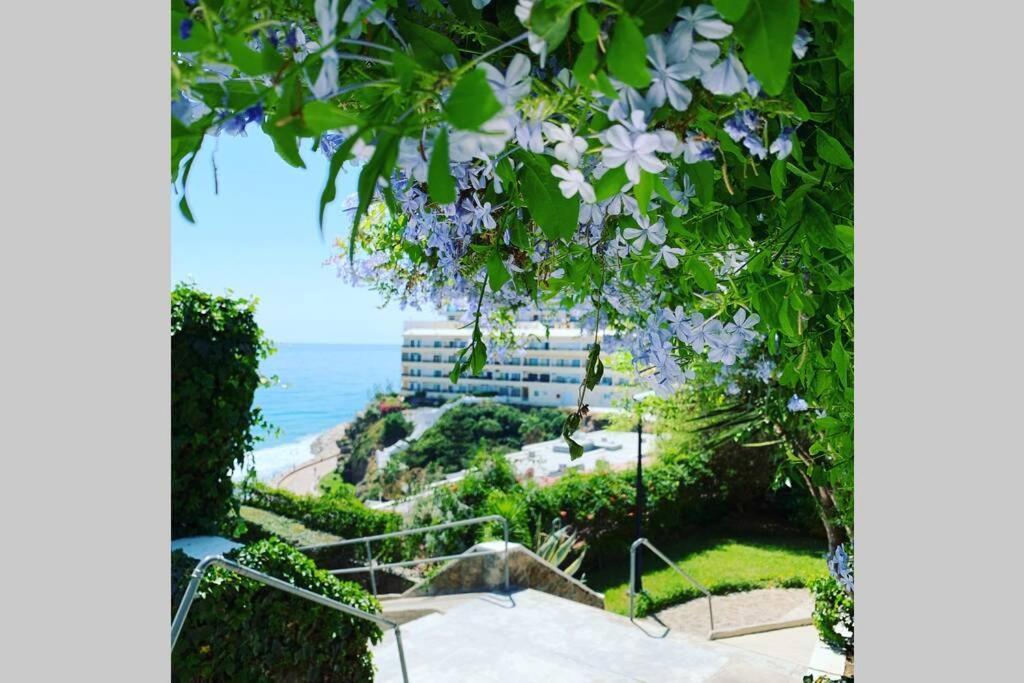 Amazing Frontline Sea Views Castillo Del Vigia Apartment *