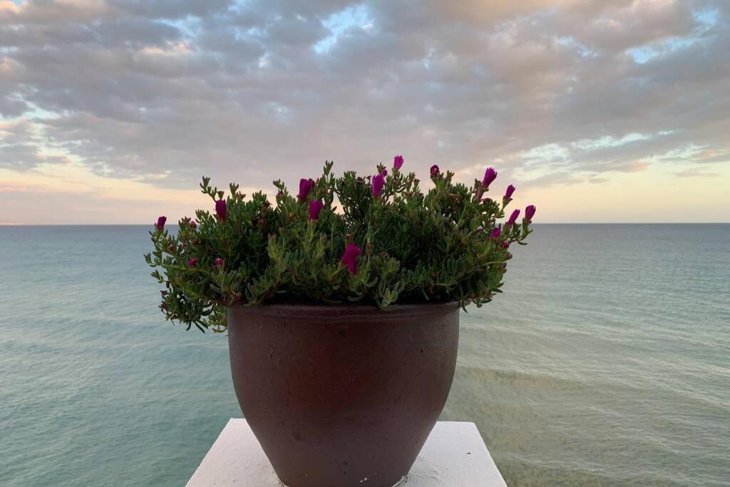 Amazing Frontline Sea Views Castillo Del Vigia