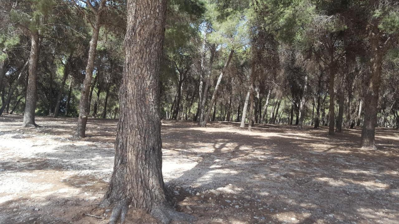 Semi-detached Adosado Con Encanto -130 M2 - Wifi 600 Mb - Piscina Comunitaria - Patio Privado *