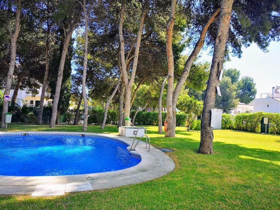 ¡nuevo! Zona Tranquila Cerca De La Playa De La Carihuela Appartement Torremolinos