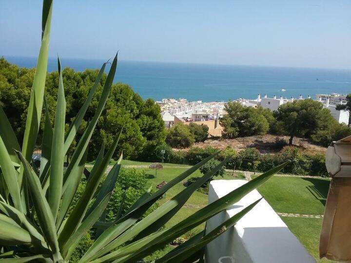 Deluxe Sea View Apartment *