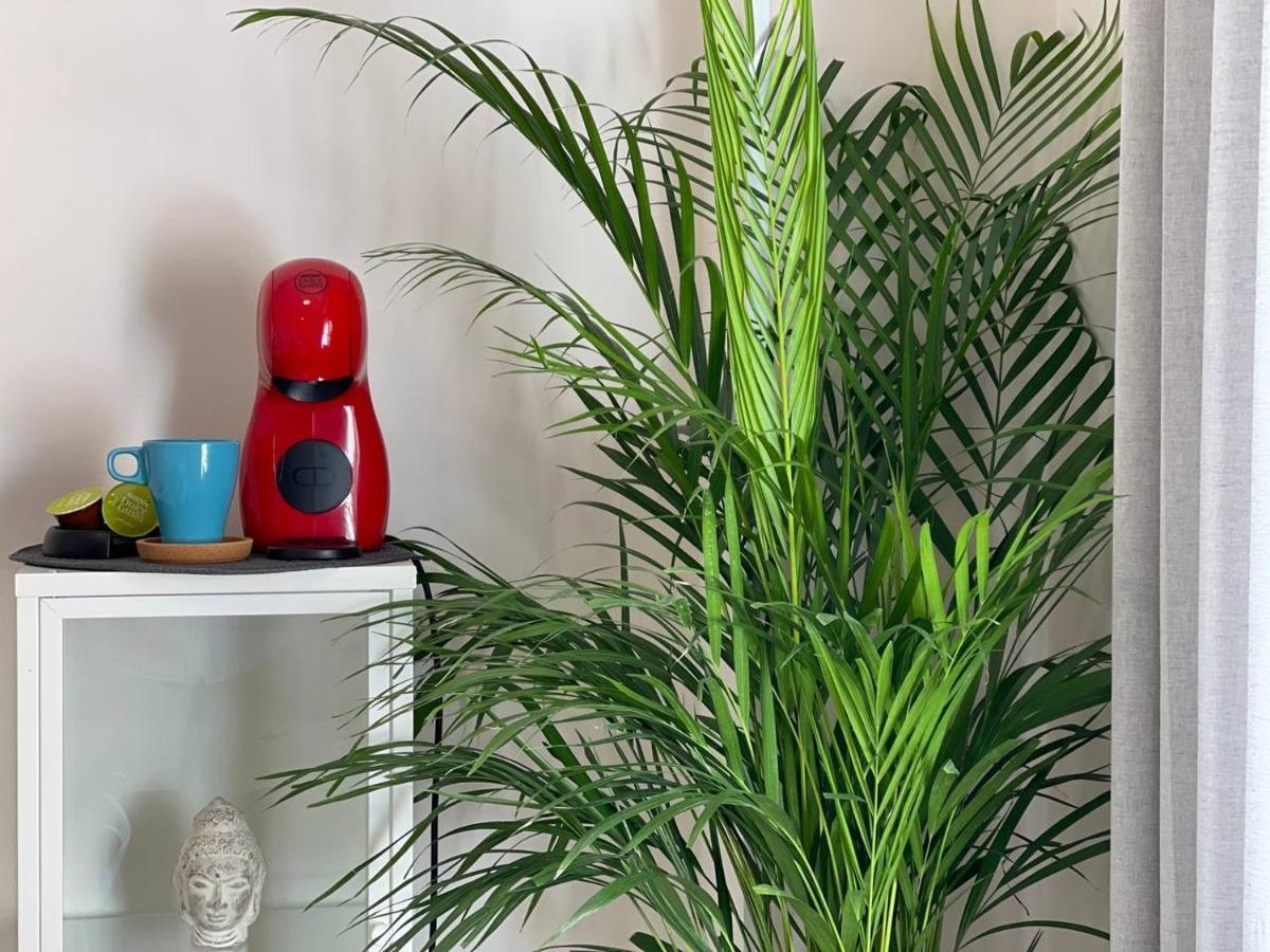 Apartment Cozy Centr Torremolinos