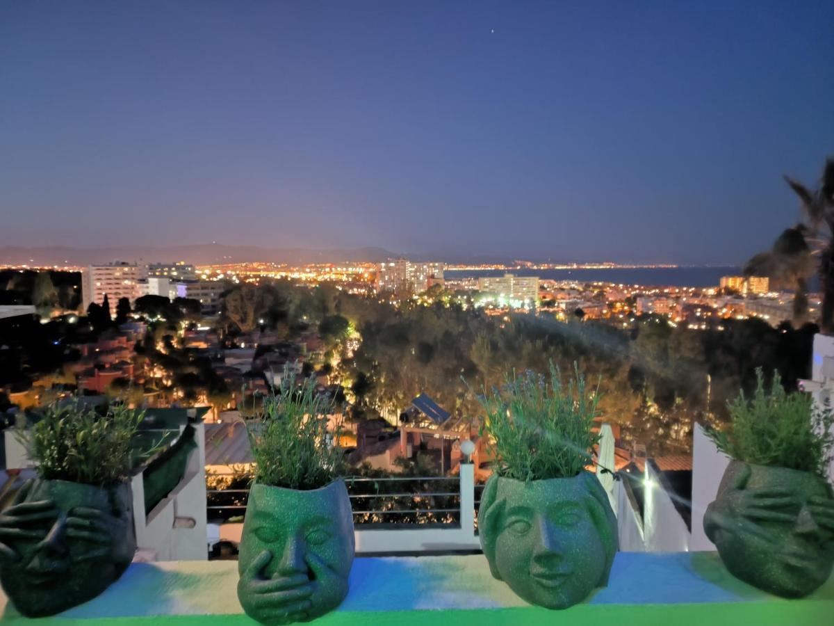 Homestay Pinar