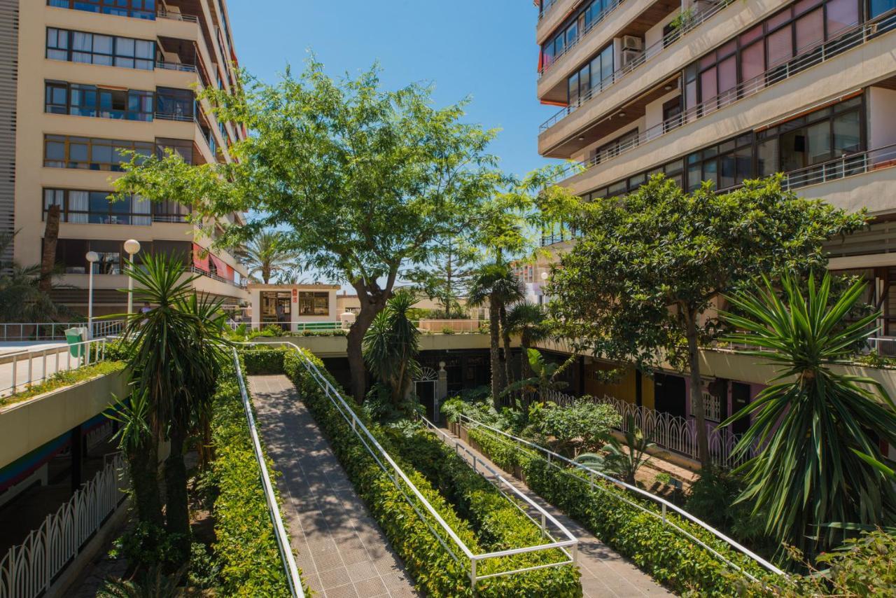 Apartamento La Nogalera