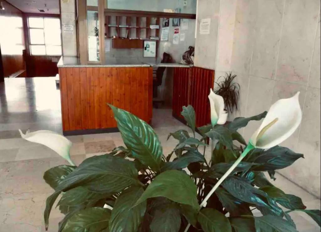 La Posada Del Viajero * Torremolinos