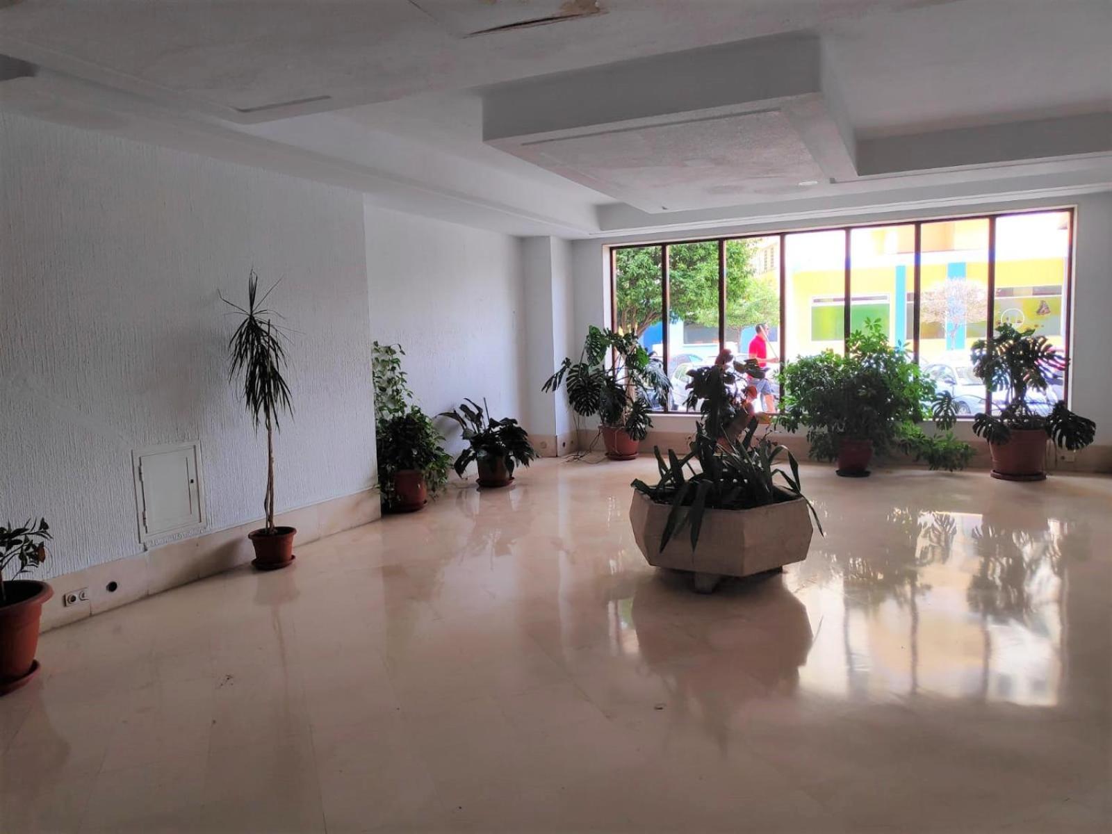 Apartment Ver855 - Playa Y Centrico, Wifi, Fire Stick, Vistas Al Mar *