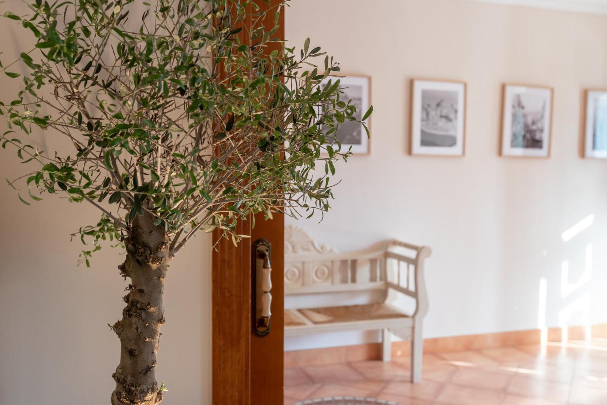 La Casita Del Mar Villa *