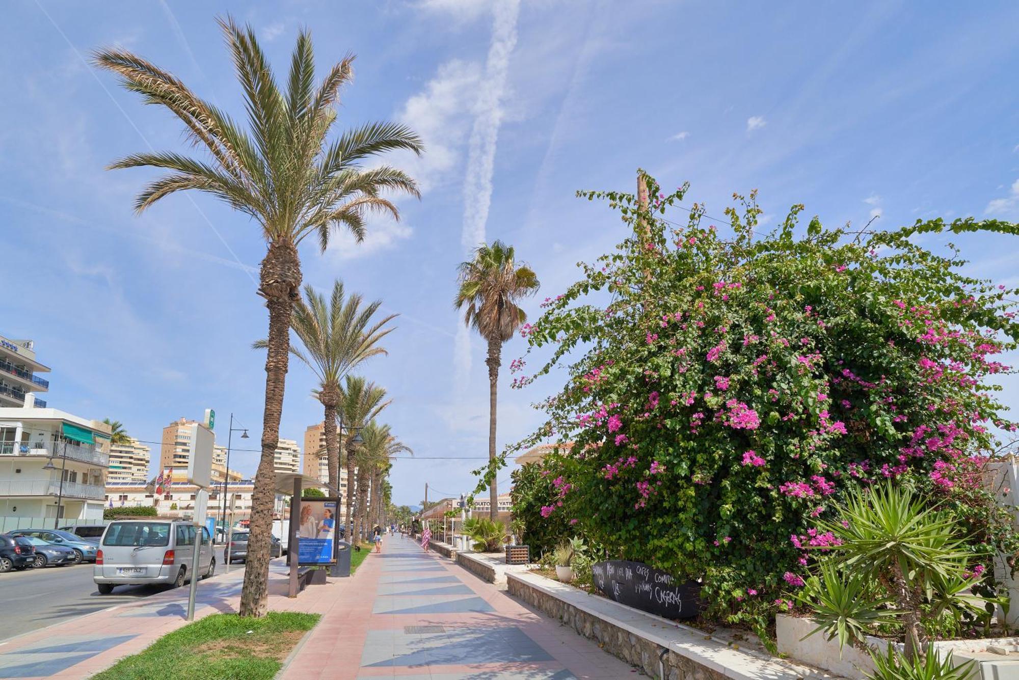 Apartment Iloftmalaga Playamar