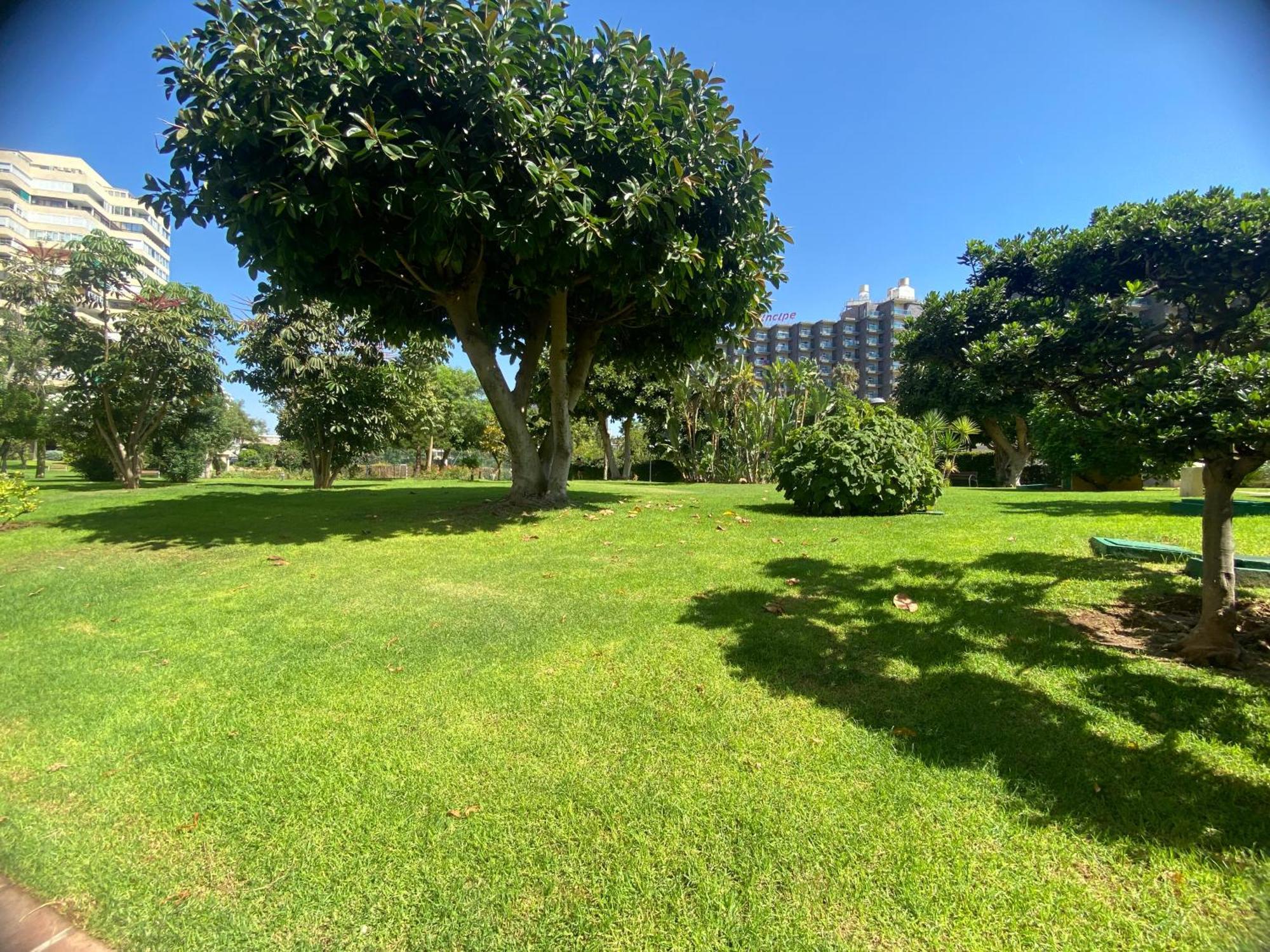 Apartment Playamar Primera Linea Front De