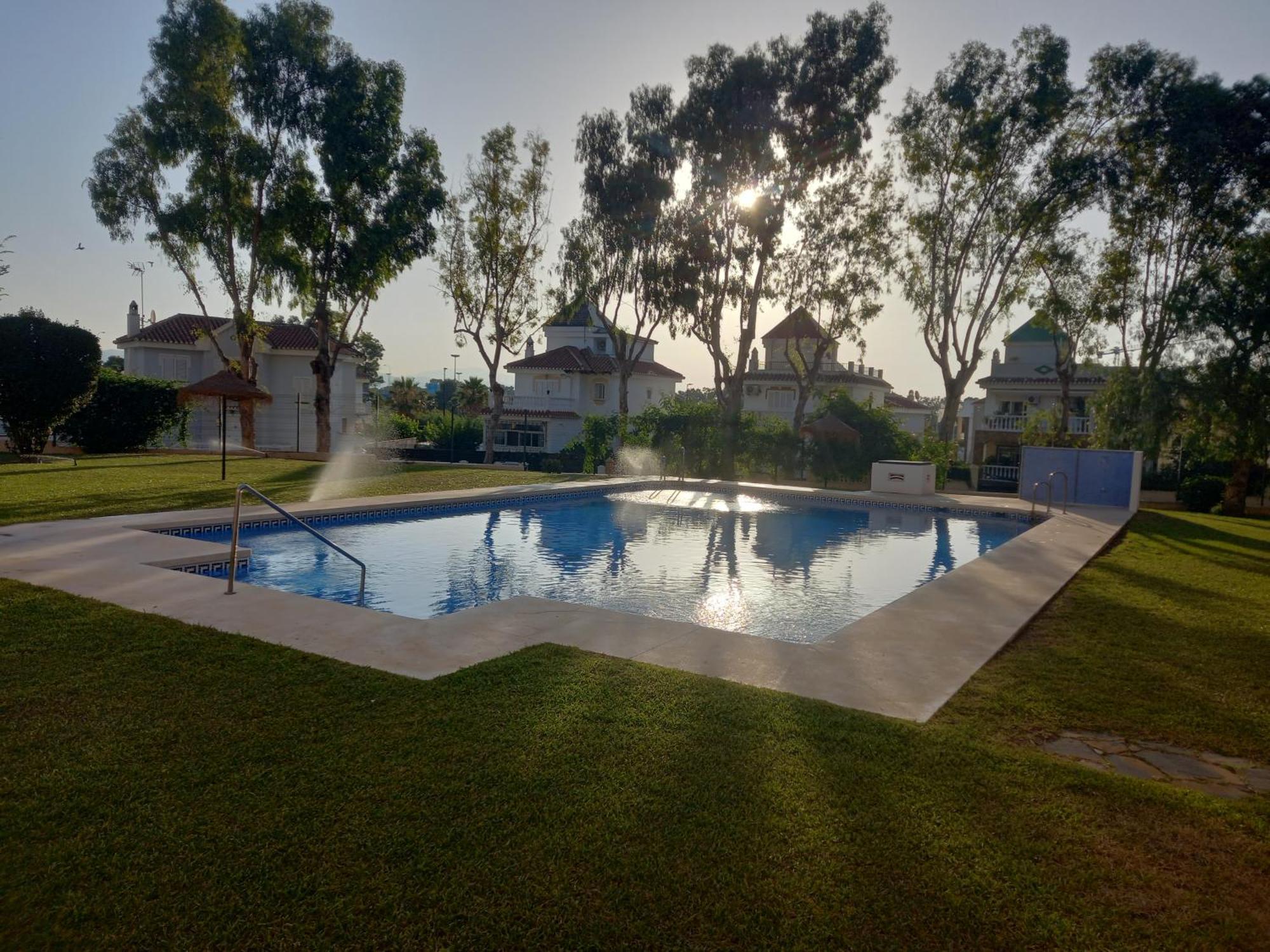 álamos