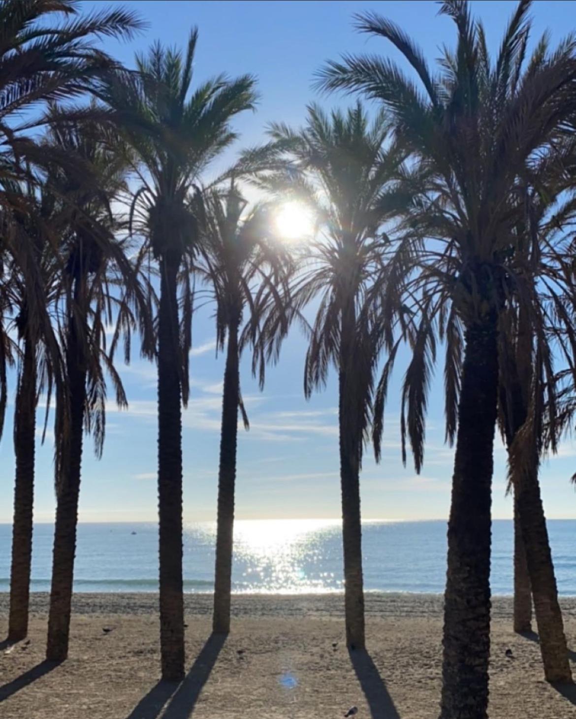 Ramai 117 Torremolinos