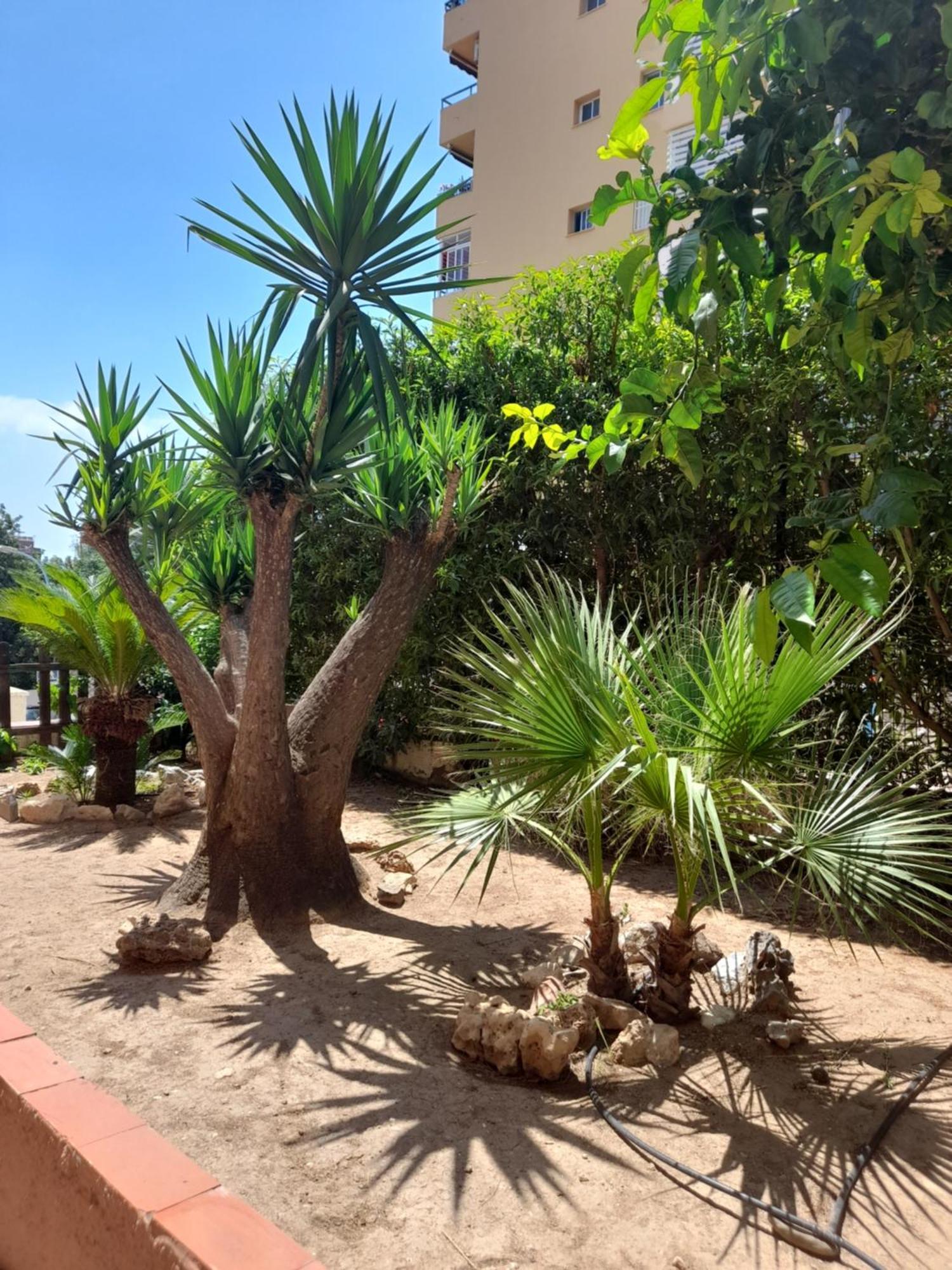 Centro Beach