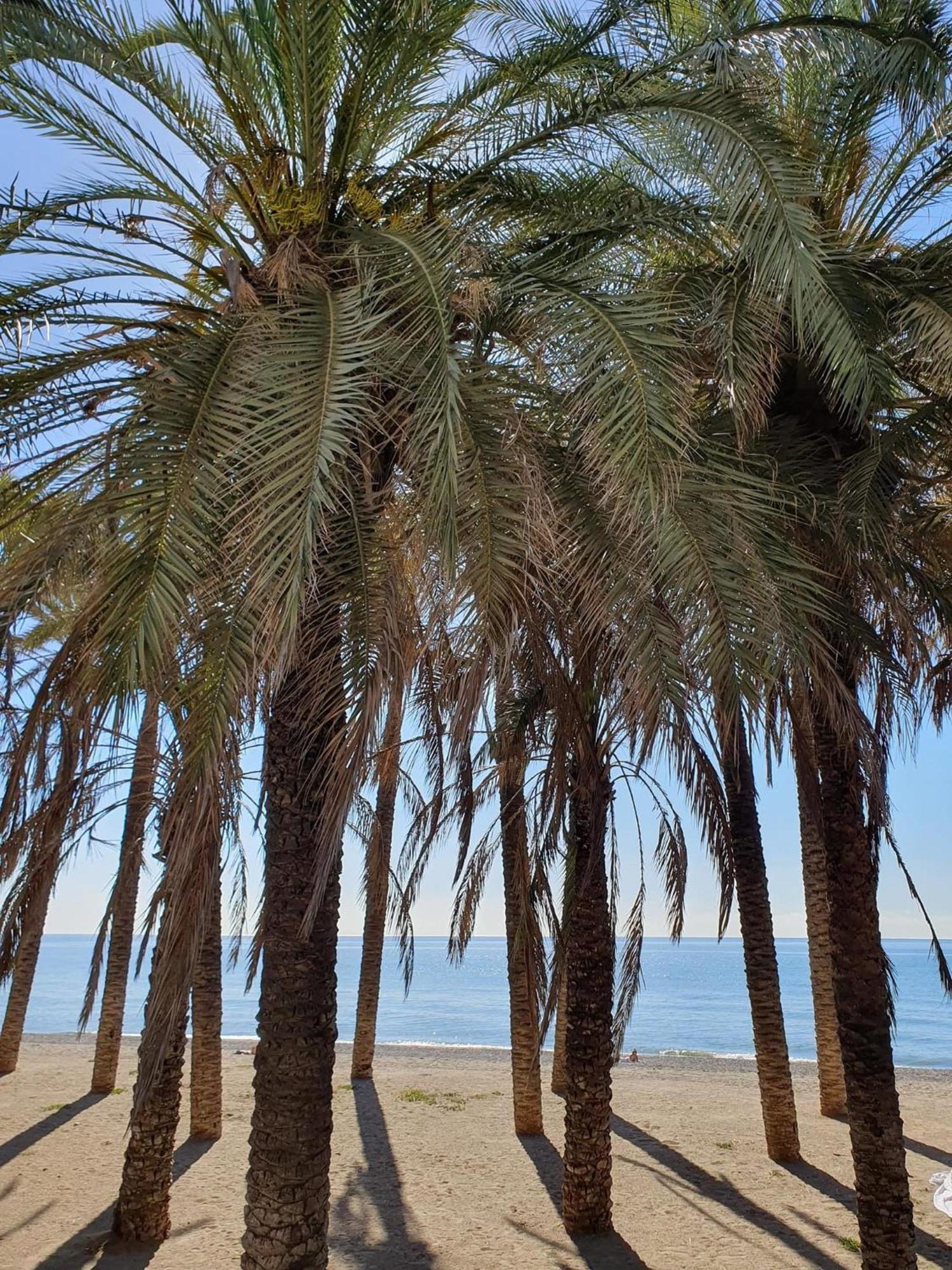 Appartement Bonito Estudio Carihuela Con Terraza, Wifi, Playa A 150 Metros Torremolinos