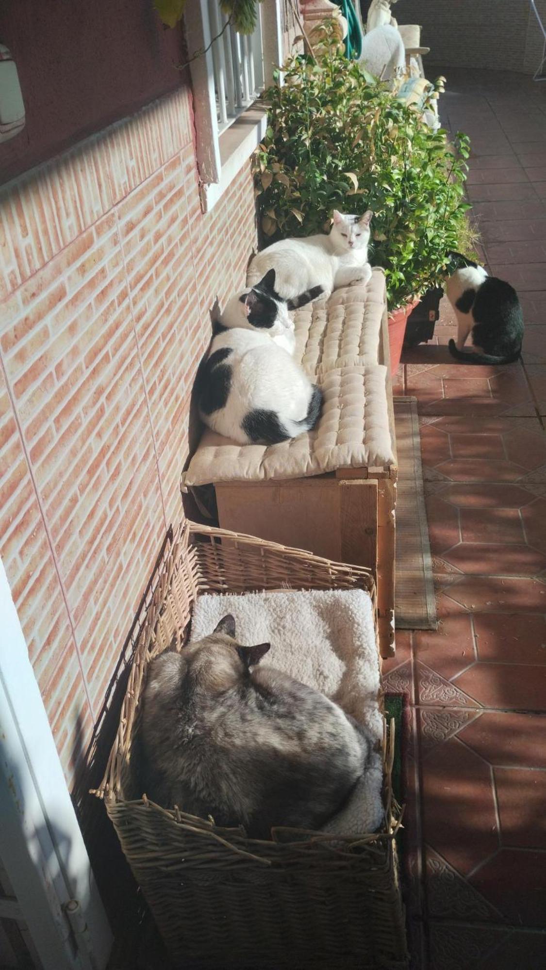Muy Centrica Torremolinos