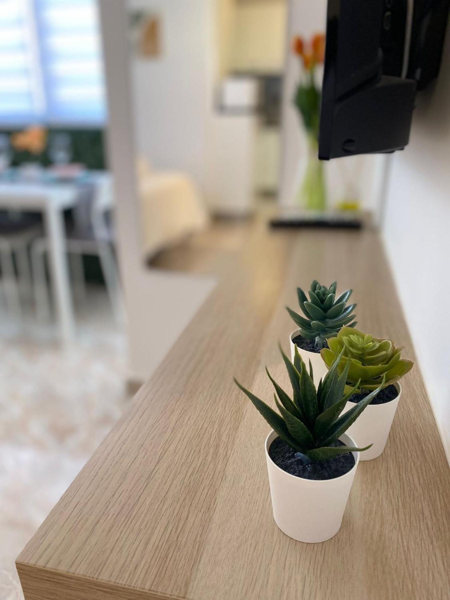 Dalia Apartment
