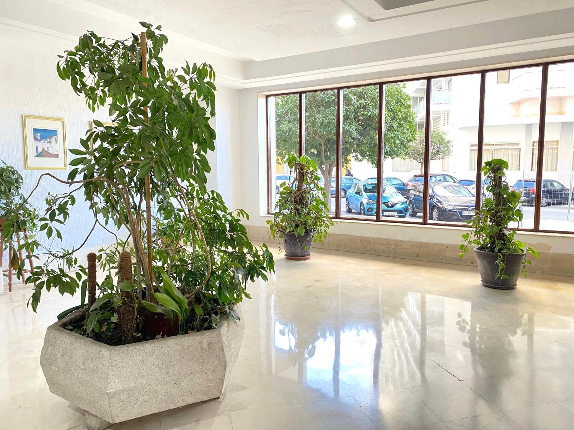 Apartment Sunset Sunny Verdiales Terrace & Sea Views *