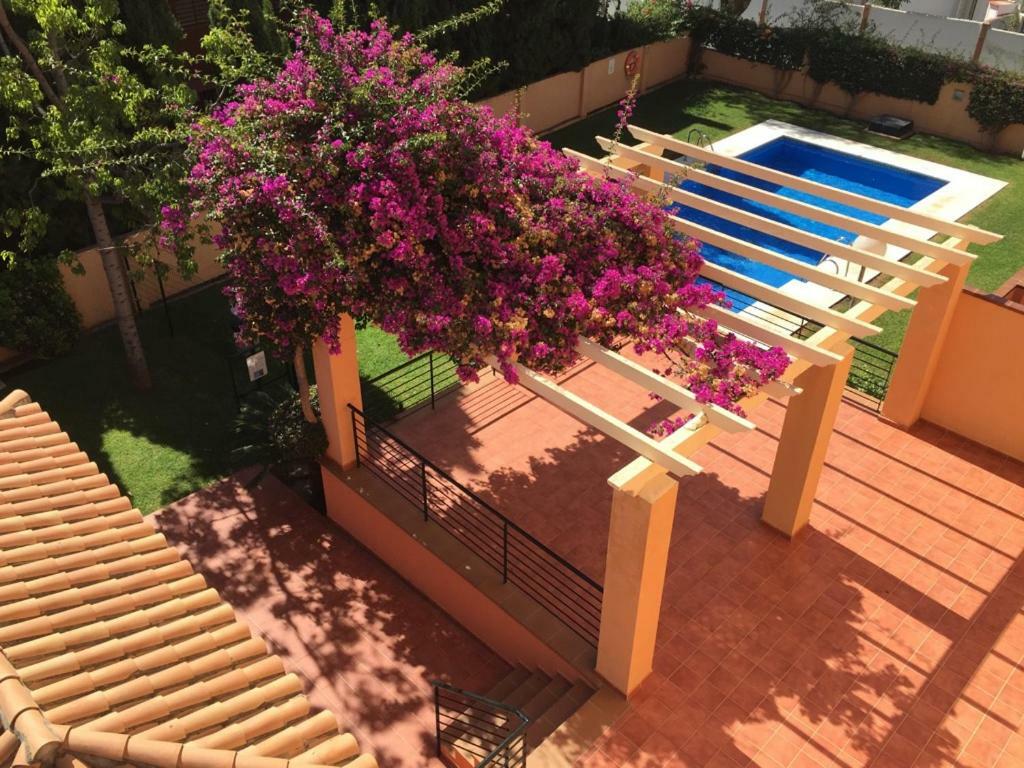 Apartamento Con Piscina En Apartment