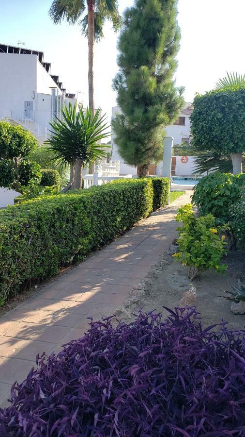 Alegría * Torremolinos